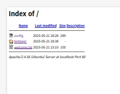 08-VulnerablePage(6).png