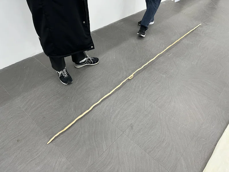 image load faild